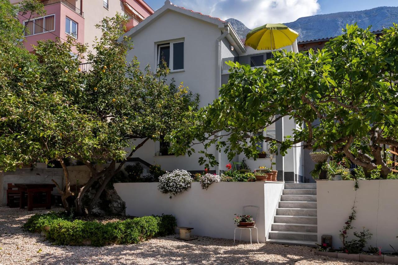 Apartmán Kuca Za Odmor Lemon Tree Makarská Exteriér fotografie